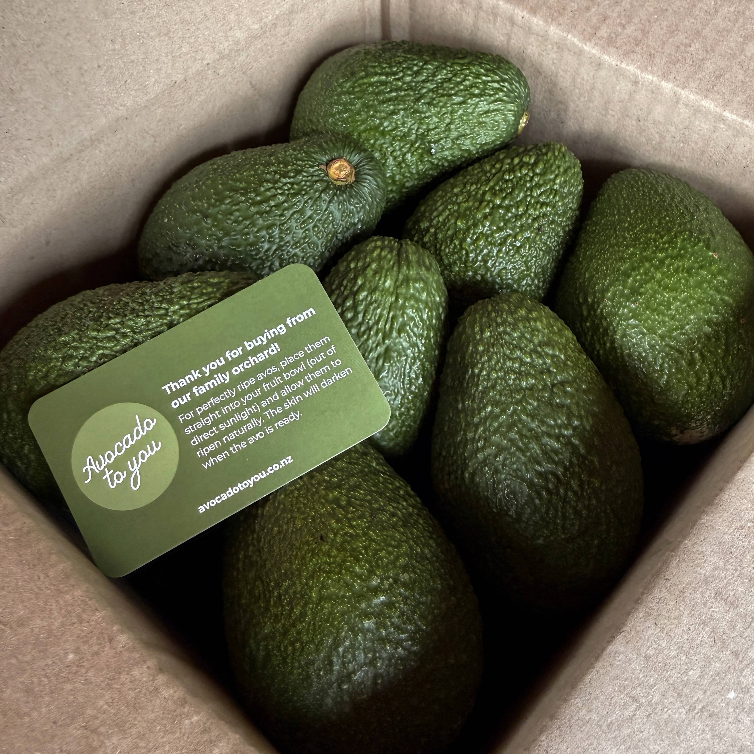 Avo Lot - Box of 15+