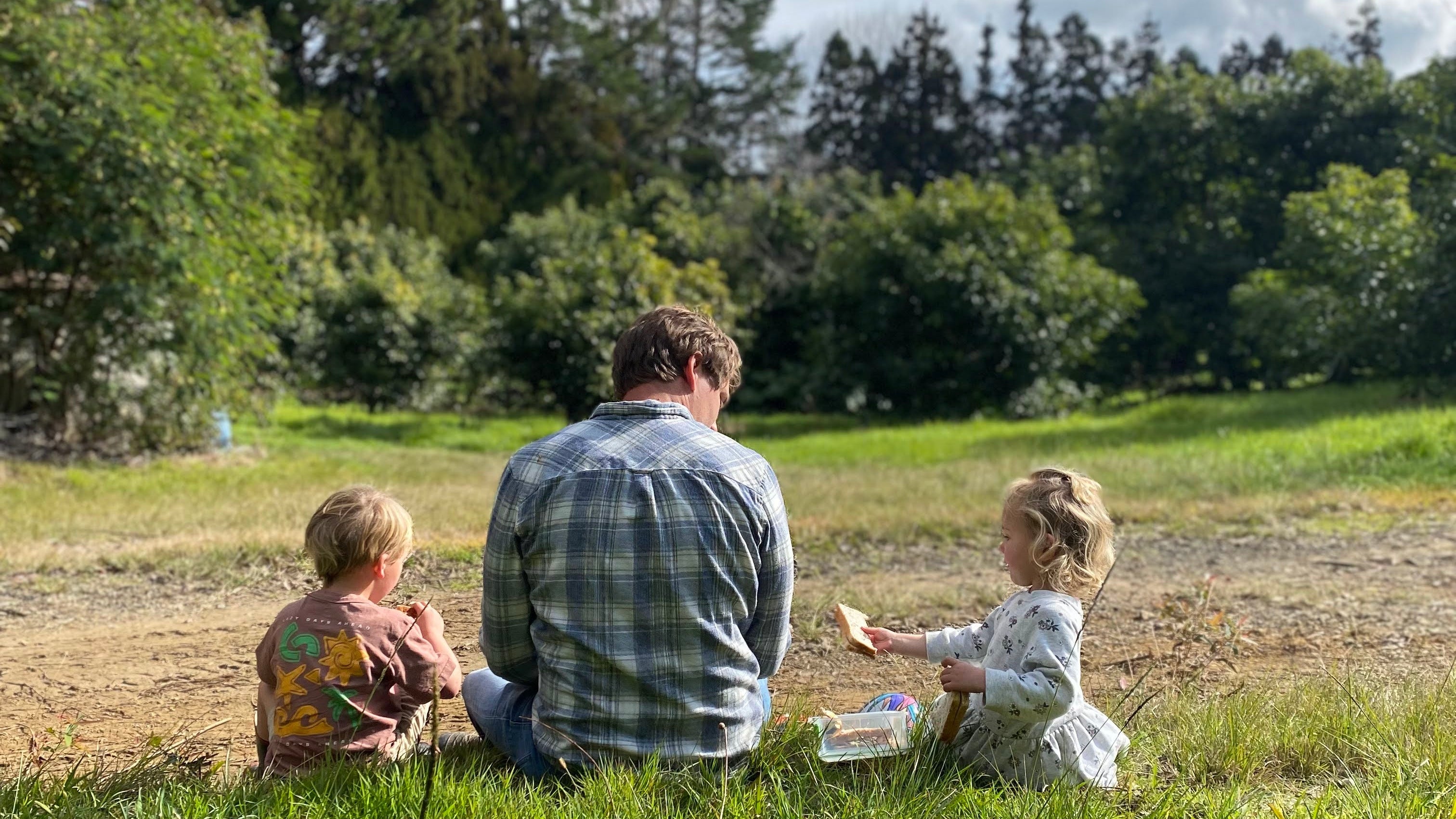 Avocado To You Family