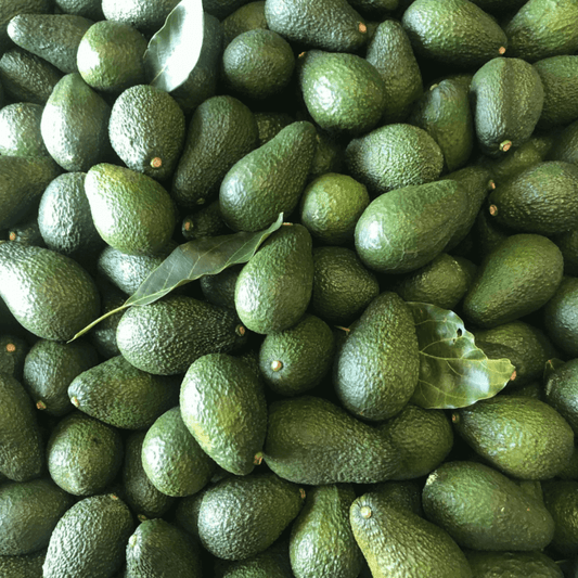 bulk avocado